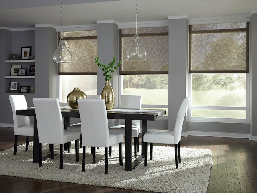 Lutron Lighting and Shades